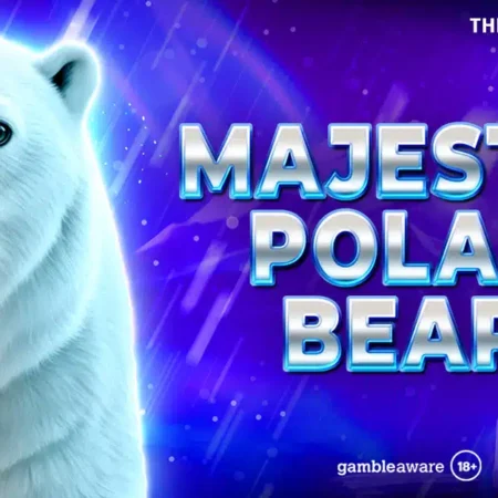 Spinomenal releases wintery wonder: Majestic Polar Bear