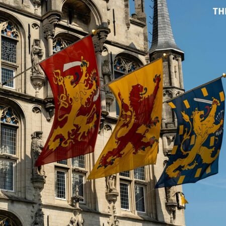 Dutch government mulls total gambling ad ban, license cuts