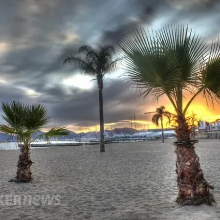 Are Prediction Markets Changing How we Predict the Weather?