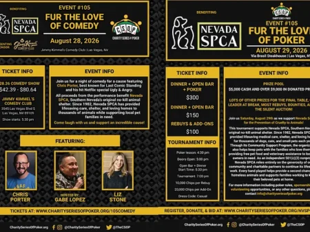 CSOP Raising Money for Homeless Pets With Comedy Night and Poker Tournament